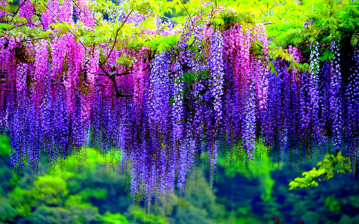 765106 (a): :1920x1200